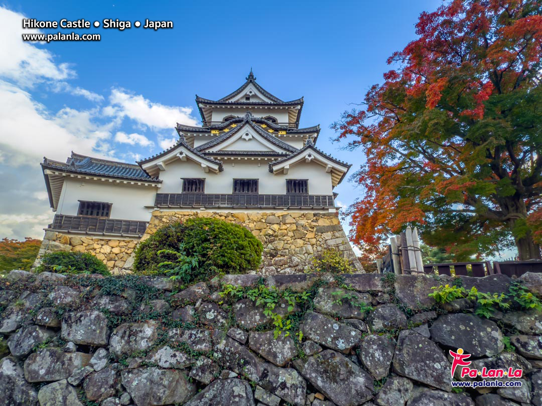 Hikone Castle