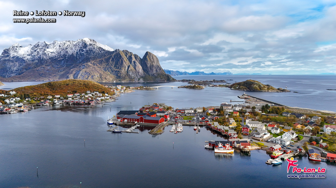 Reine