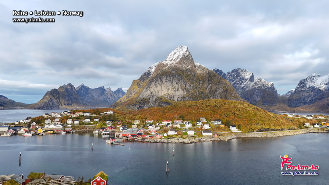 Reine