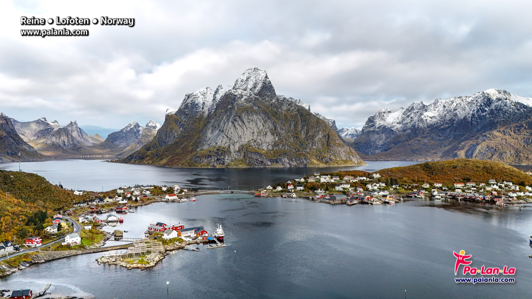 Reine