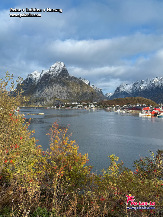 Reine