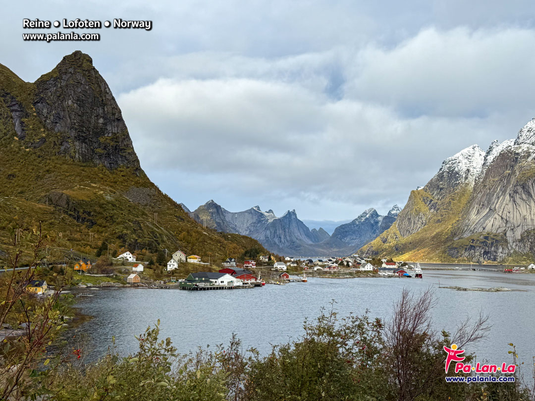 Reine